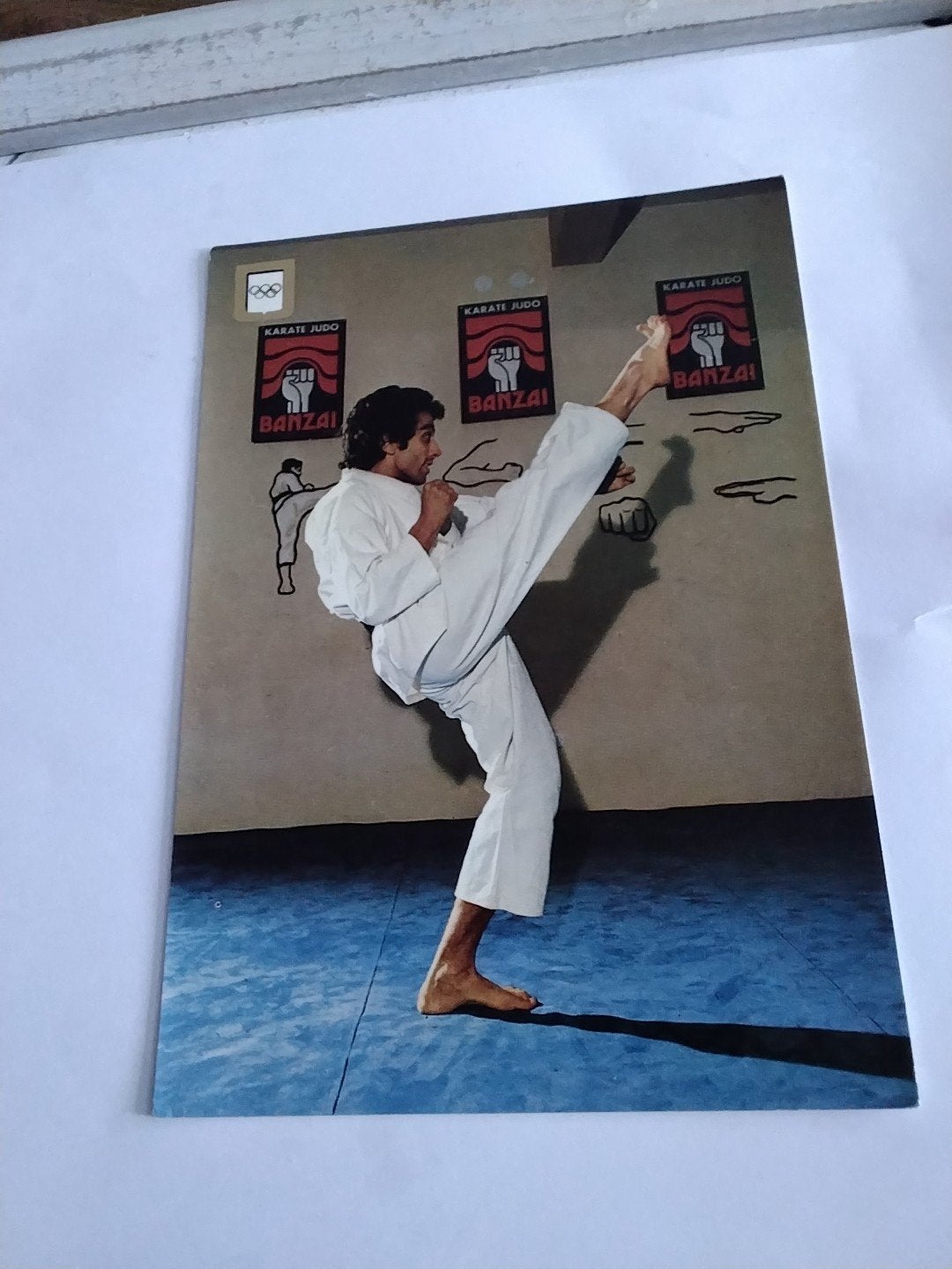 KARATE. MAE - GERI, Ophalen of Verzenden, Sterren en Beroemdheden