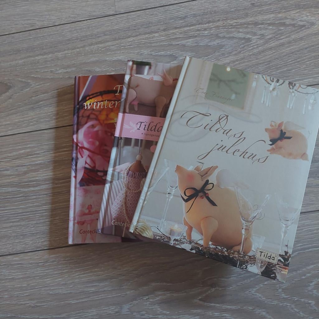 Tilda's hobbyboeken: winter, zomer en kerst knutselplezier, Ophalen of Verzenden, Gelezen, Overige onderwerpen, Tone Finnanger
