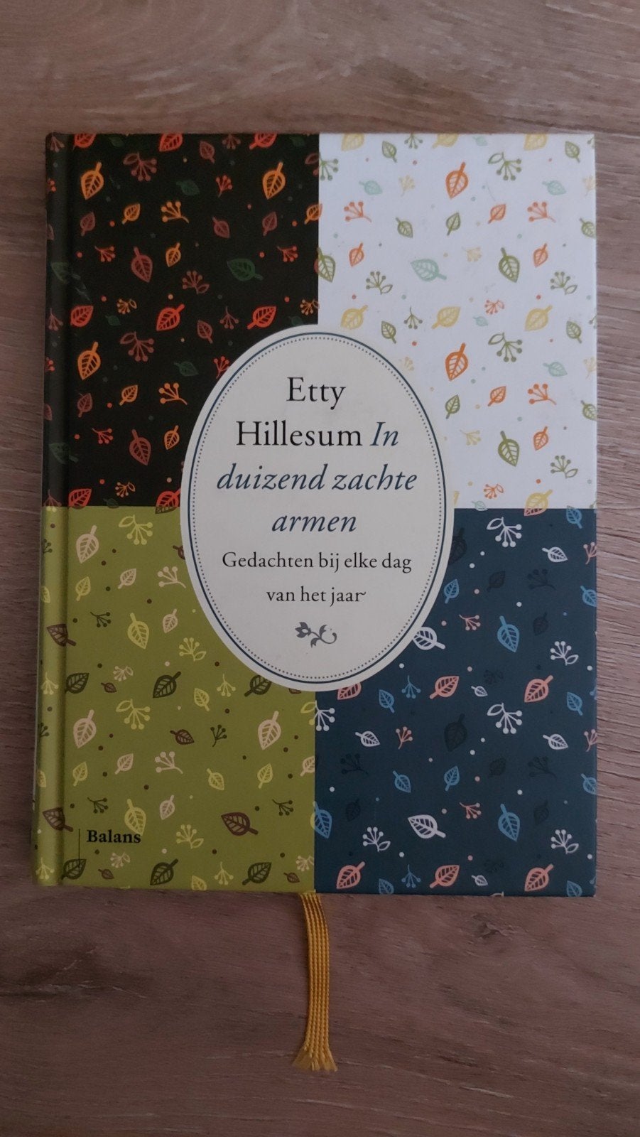 BB3: Etty Hillesum - In duizend zachte armen - Gedachten, Boeken, Ophalen of Verzenden, Zo goed als nieuw, Etty Hillesum, Nederland