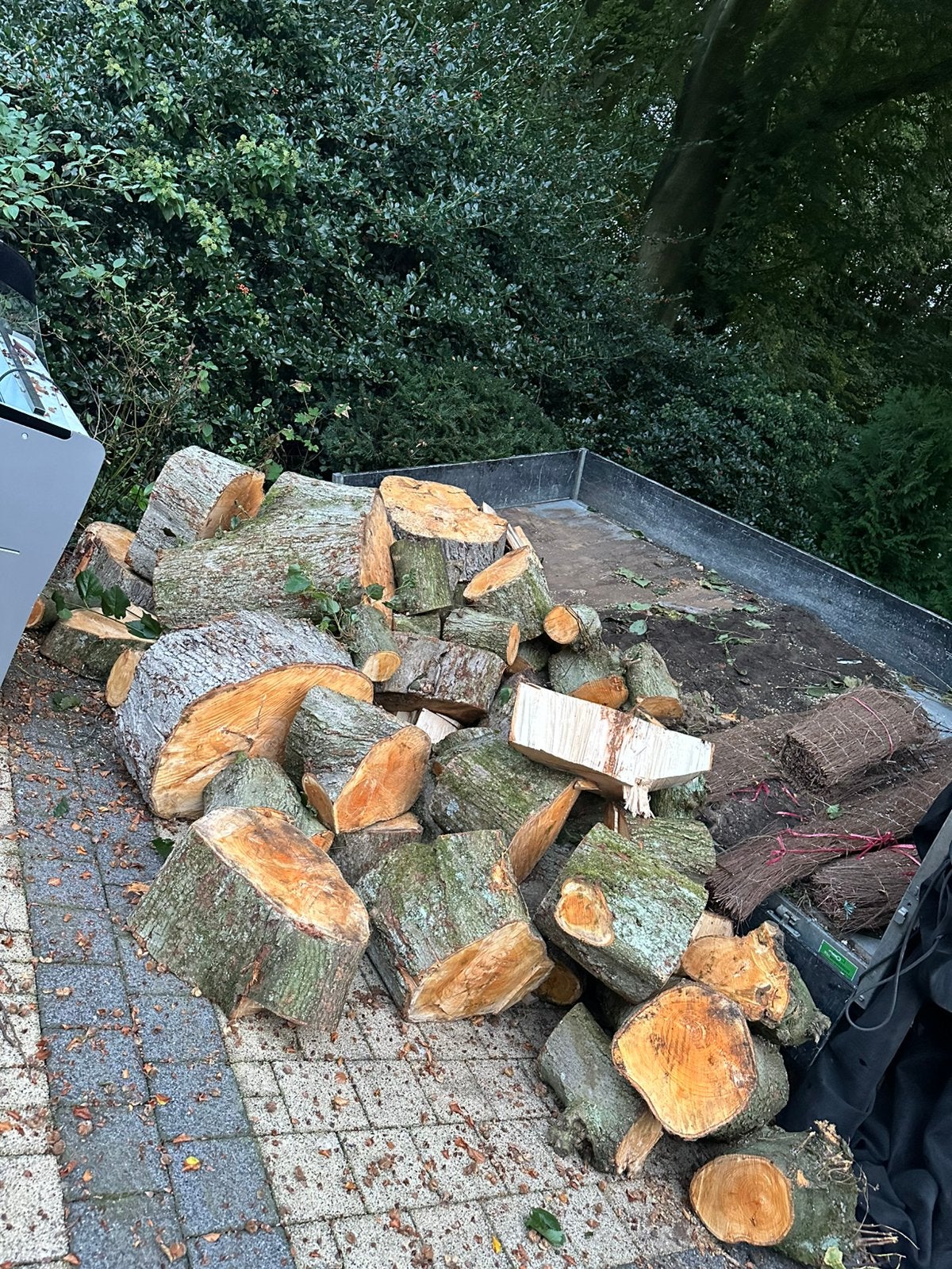 Brandhout 3kuub gezaagd linde, 3 tot 6 m³, Ophalen, Blokken