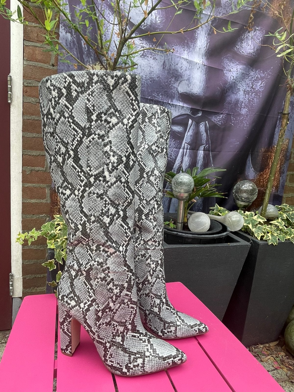 Steve madden laarzen snake boots, Ophalen of Verzenden, Zo goed als nieuw