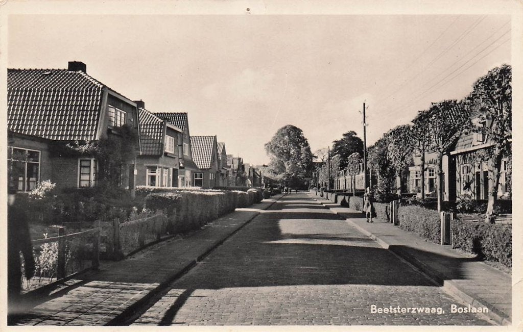 703-037-017 Beetsterzwaag Boslaan, Verzenden, Voor 1920, Friesland