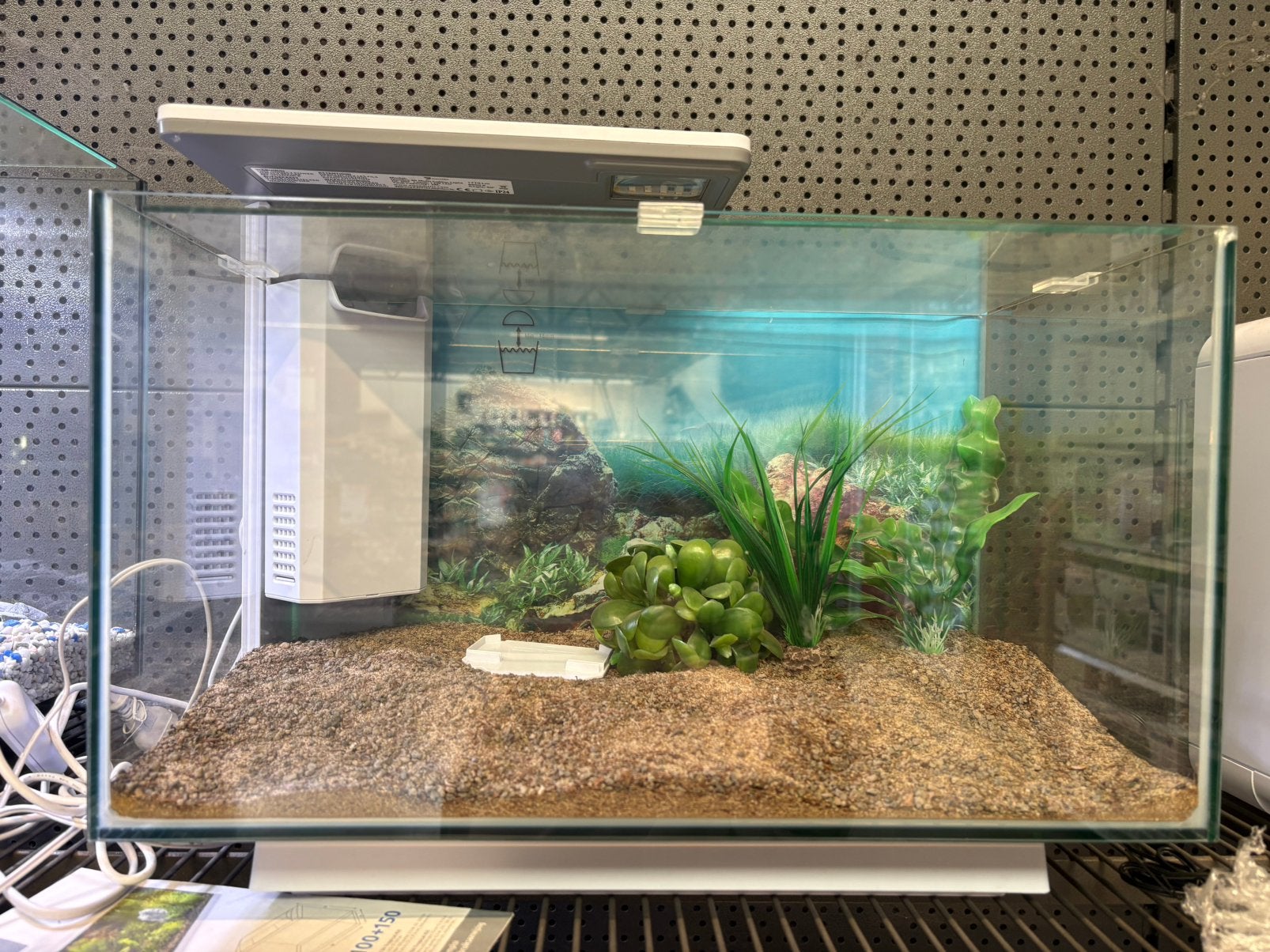 Vis Aquarium wit met ledverlichting diverse kleuren zgan, Vis, Zoetwatervis