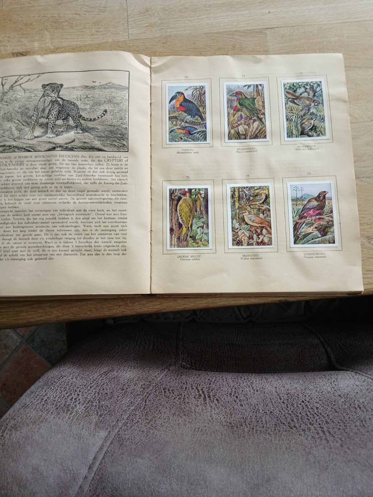 Vogel album 1923, Ophalen