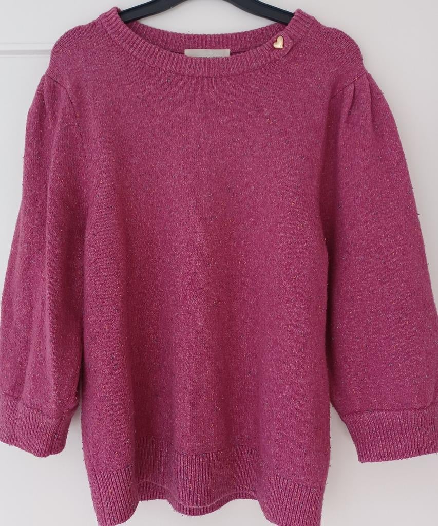 Fabienne Chapot trui maat s, Kleding | Dames, Ophalen of Verzenden, Fabienne Chapot, Maat 36 (S), Gedragen