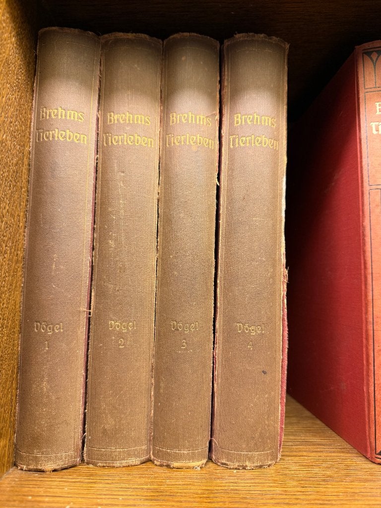 Boeken Brehms Tierleben vogels en dieren, Boeken, Encyclopedieën, Ophalen, Gelezen, Dieren, Complete serie