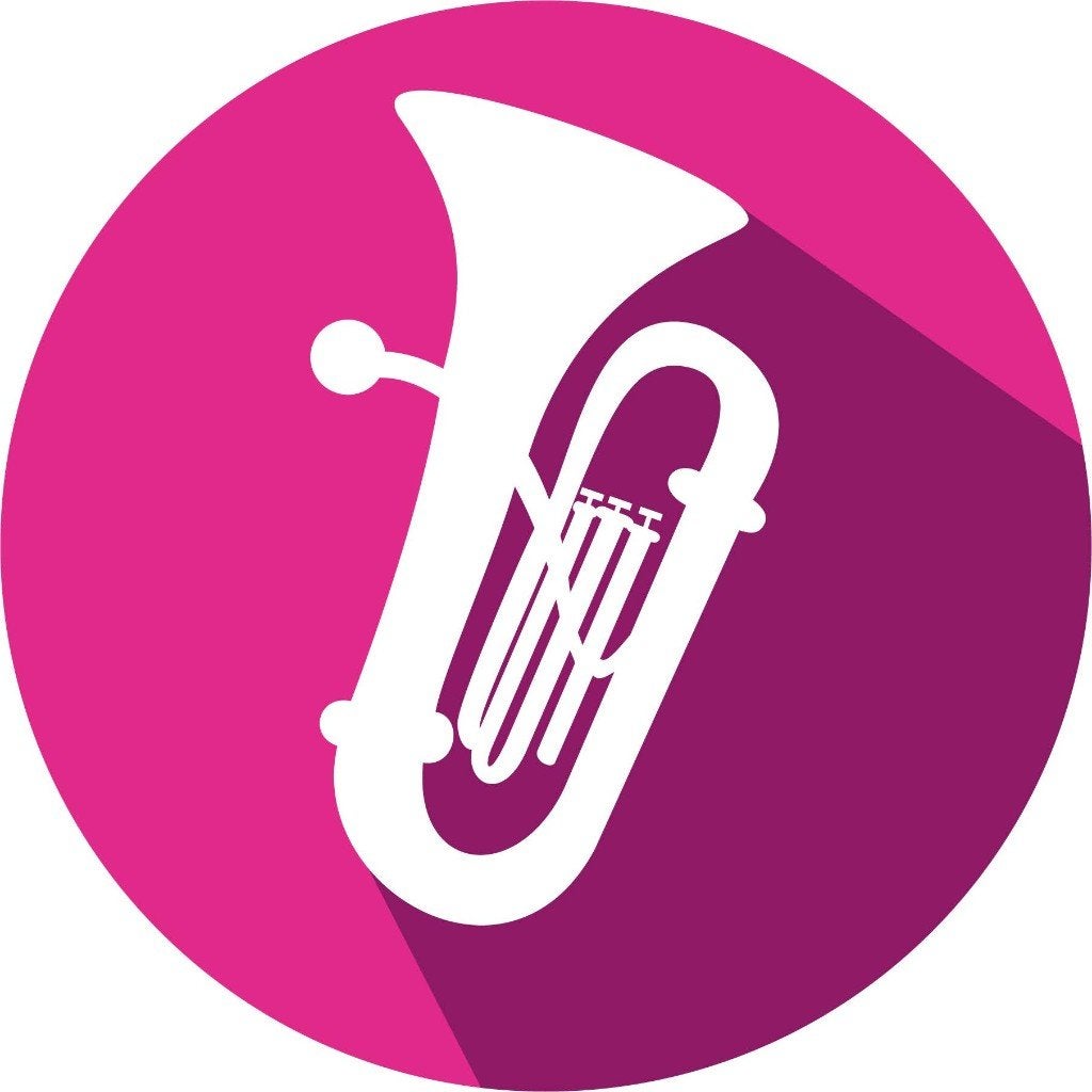 Wij kopen jouw gebruikte koperblaasinstrument!, Muziek en Instrumenten, Ophalen, Gebruikt, Koperblazer