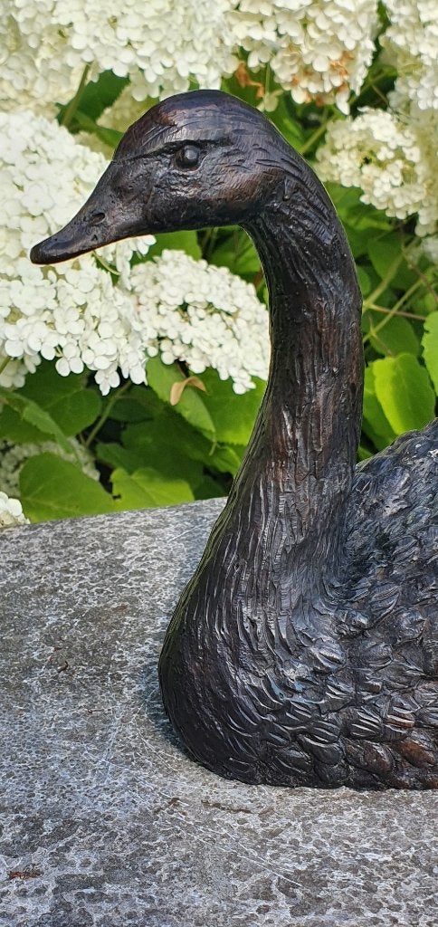 ZWAAN / bronzen tuinbeeld, Tuin en Terras, Tuinbeelden, Dierenbeeld, Nieuw, Info@huisentuindecoratiemarie.nl, Huis en tuin decoratie marie