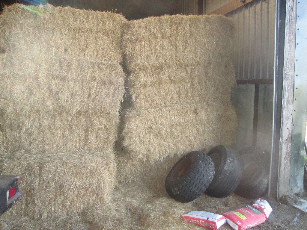Grote balen  kruidenrijk hooi, Ophalen of Verzenden, Vee