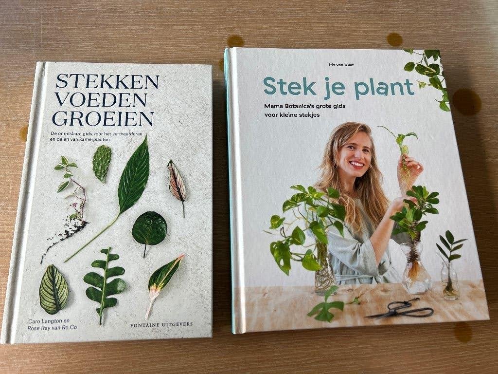 Boeken: Stekken Voeden Groeien & Stek je plant, Ophalen of Verzenden, Zo goed als nieuw