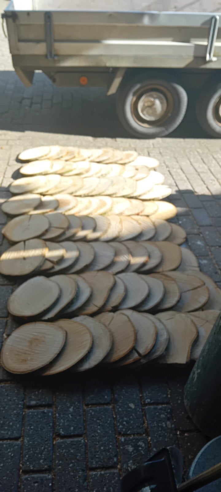 Boomschijven, houtschijven, 80 stuks, Am. eiken, Ophalen