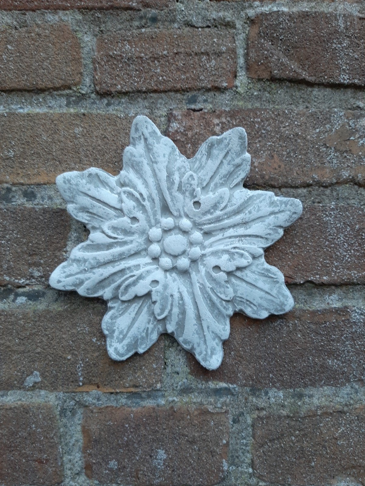 Bloem wanddecoratie betonnen beeld tuinbeeld beton, Ophalen of Verzenden