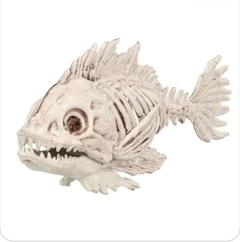 skelet vis decoratie, Ophalen of Verzenden, Nieuw, Versiering, Halloween of Griezel