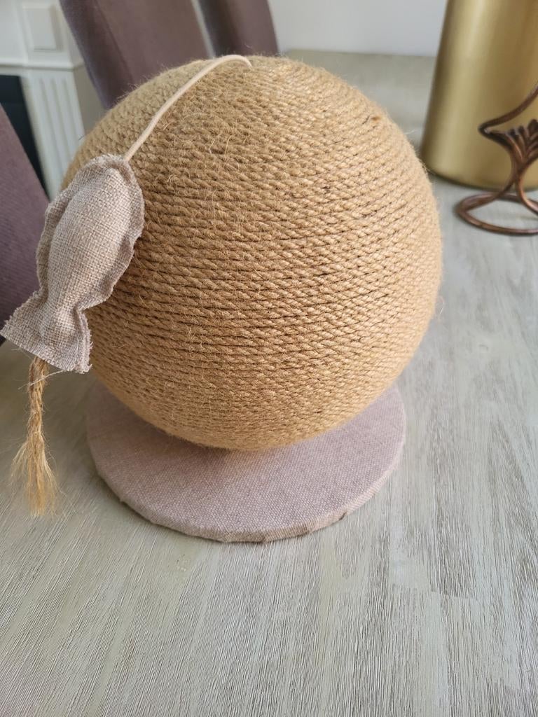 Krabbol katten, Dieren en Toebehoren, Ophalen of Verzenden, Nieuw