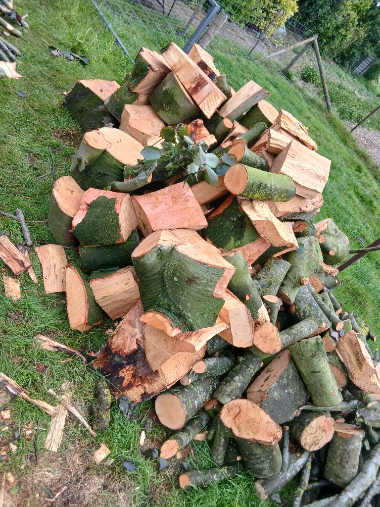 Beukenhout, Tuin en Terras, 3 tot 6 m³, Ophalen of Verzenden, Beukenhout, Blokken