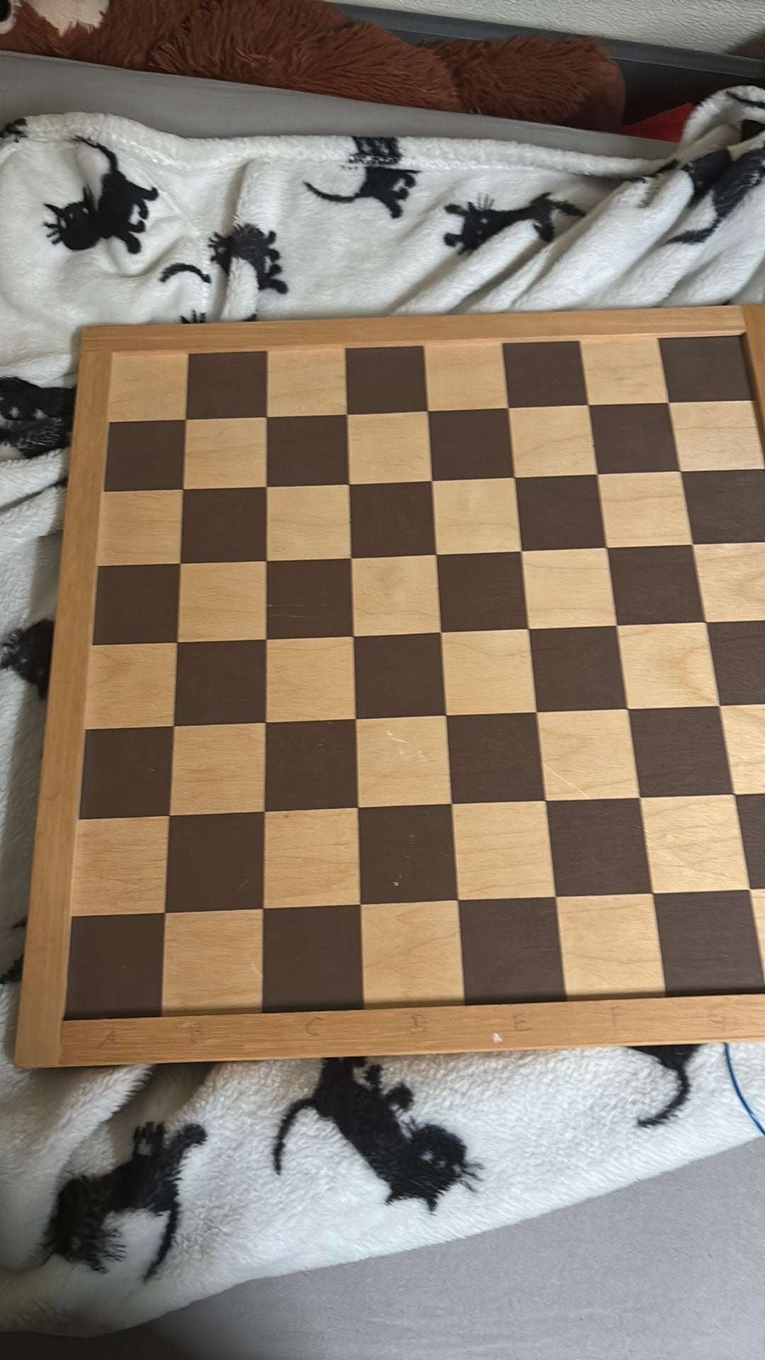 Schaak bord, Een of twee spelers, Ophalen of Verzenden, Gebruikt