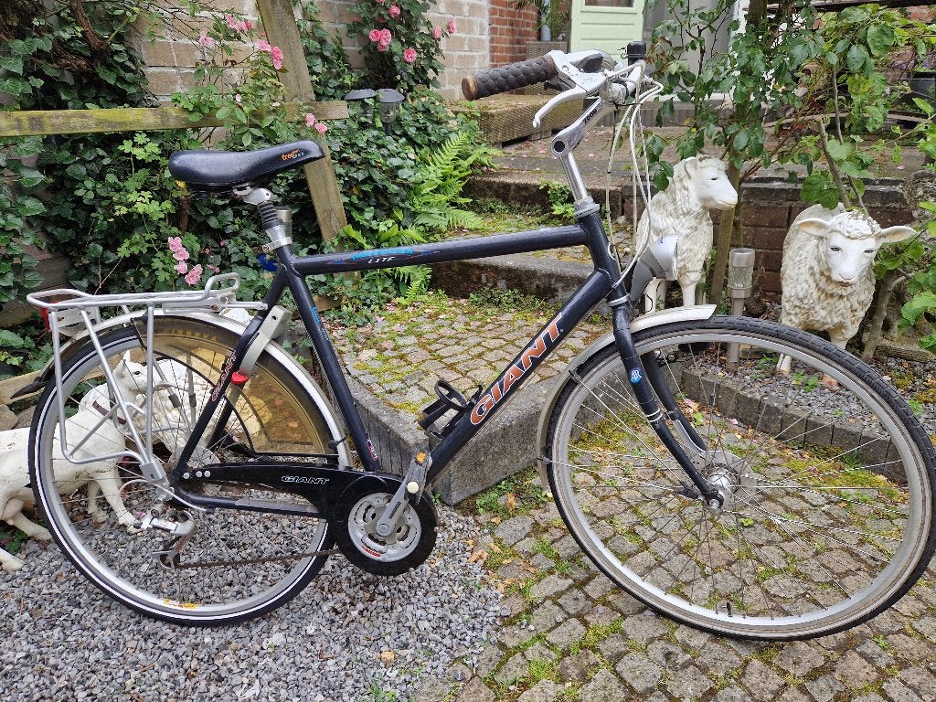 Giant Herenfiets, Ophalen, Gebruikt, Versnellingen, Giant