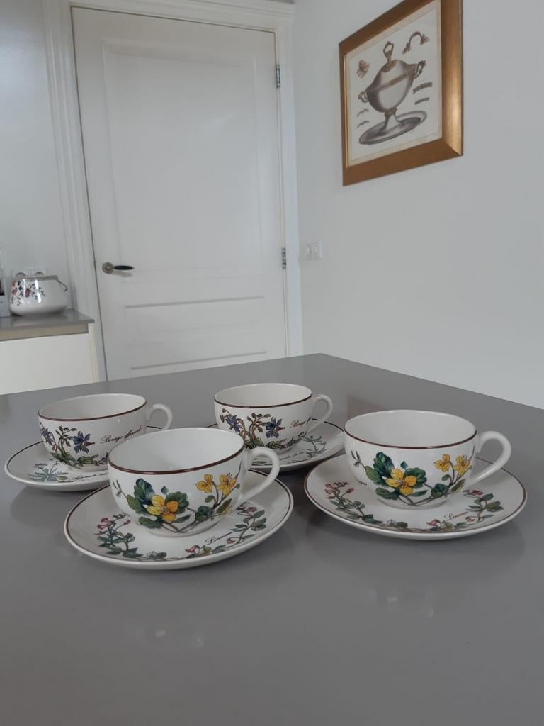 Theekop + Schotel Villeroy en Boch Botanica Douwe Egberts, Huis en Inrichting, Keuken | Servies, Ophalen of Verzenden, Zo goed als nieuw