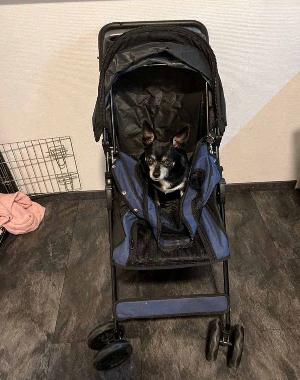 Hondenbuggy / Dierenbuggy, Dieren en Toebehoren, Honden-accessoires, Ophalen