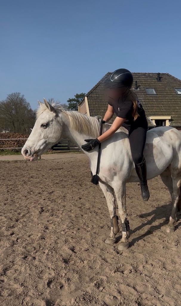 Verzorgpony gezocht!!, Ophalen, Zo goed als nieuw