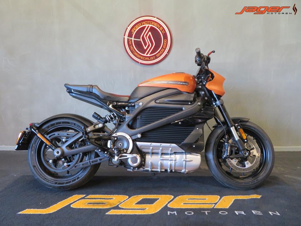 Harley-Davidson LIVEWIRE ELW NIEUWSTAAT! HISTORIE!, Bedrijf, Chopper