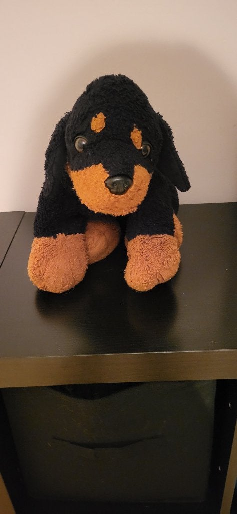 Rottweiler knuffel.(nog nieuw(, Overige karakters, Nieuw, Middelgroot (20 tot 80 cm), Wasbaar