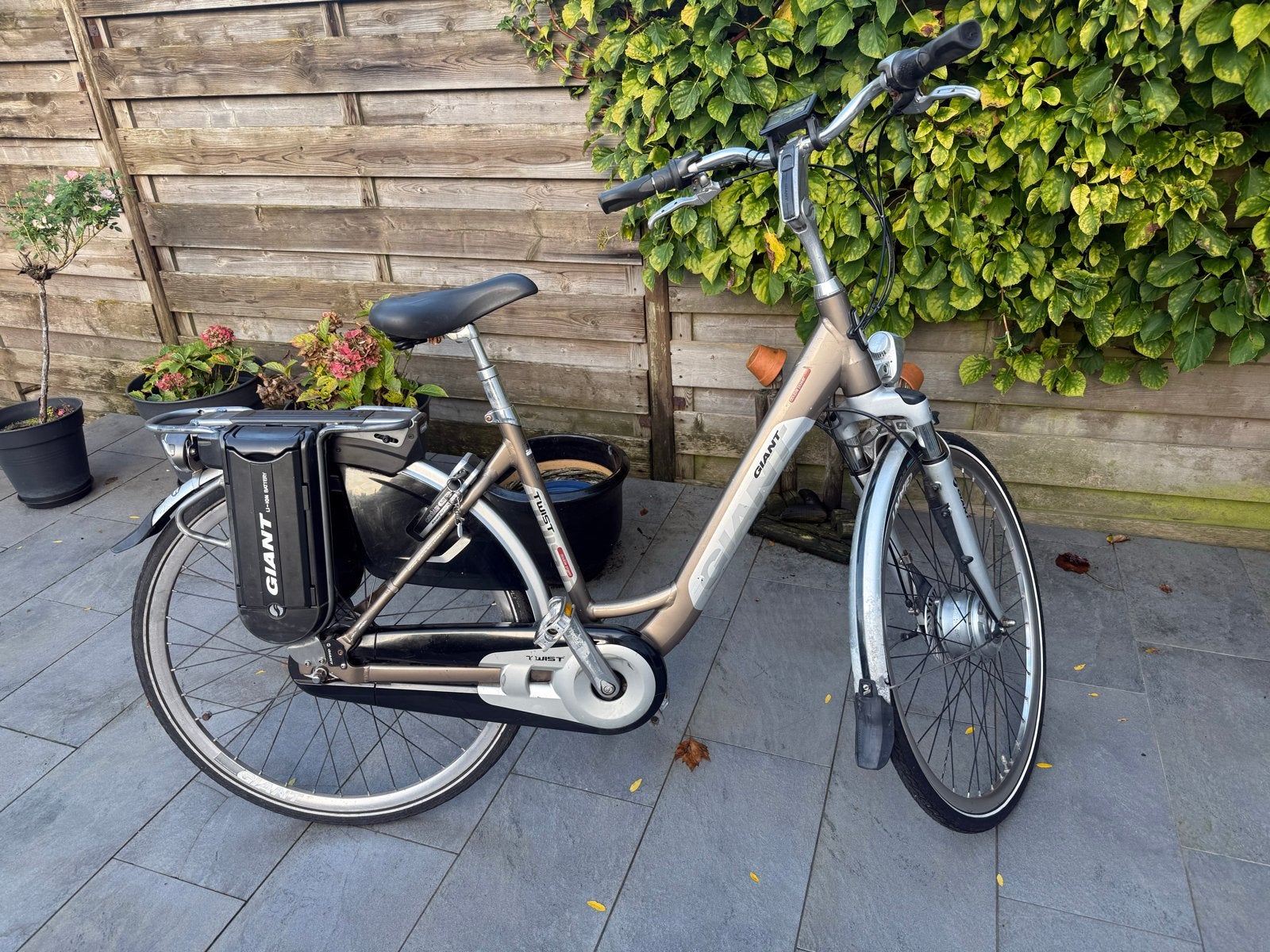 Giant Twist Go Double Power E-bike - Maat M, Fietsen en Brommers, Gebruikt, 51 tot 55 cm, 50 km per accu of meer, Giant