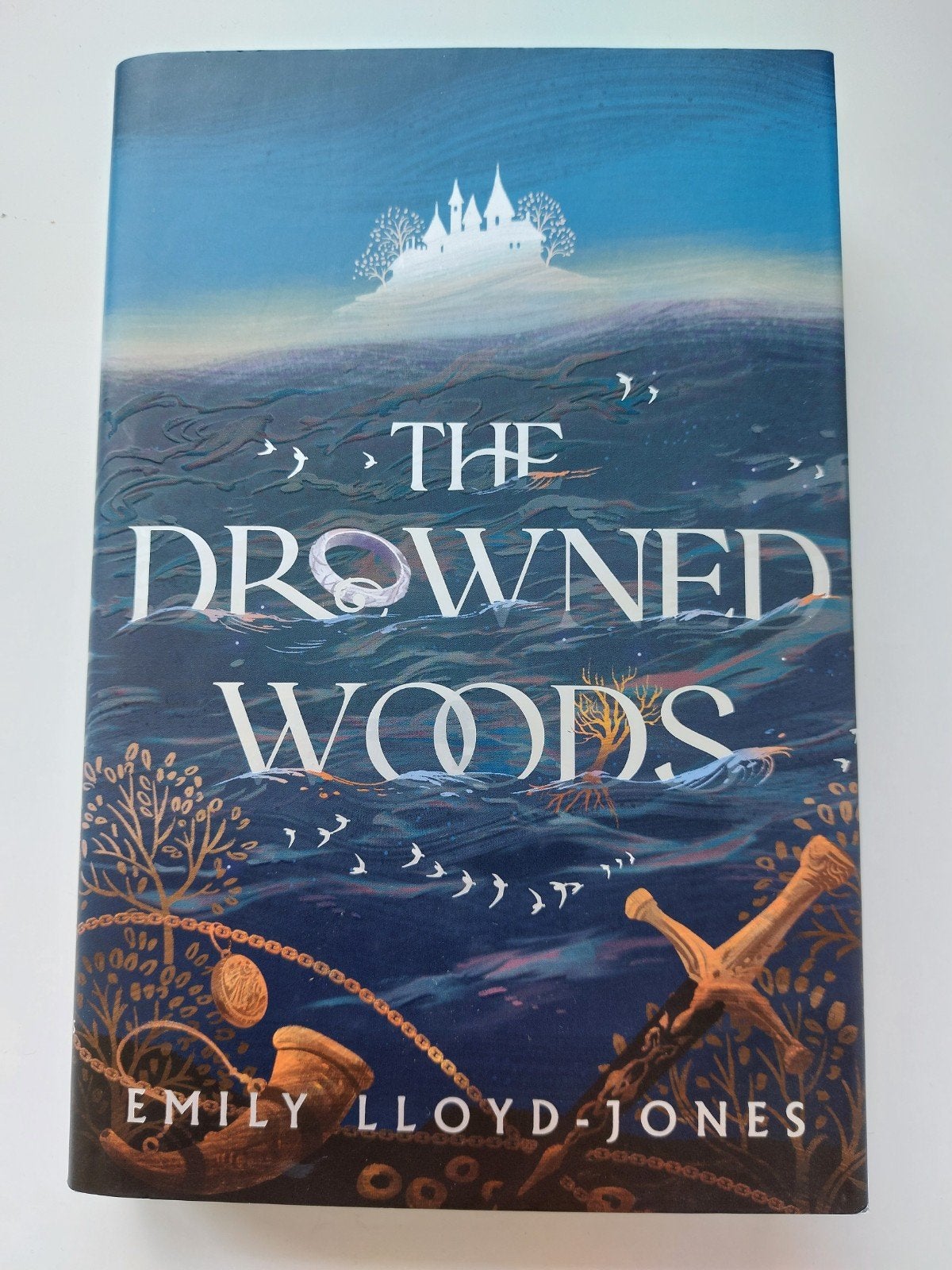 The Drowned Woods - Emily LLoyd-Jones, Boeken, Ophalen of Verzenden, Zo goed als nieuw, Emily LLoyd-Jones