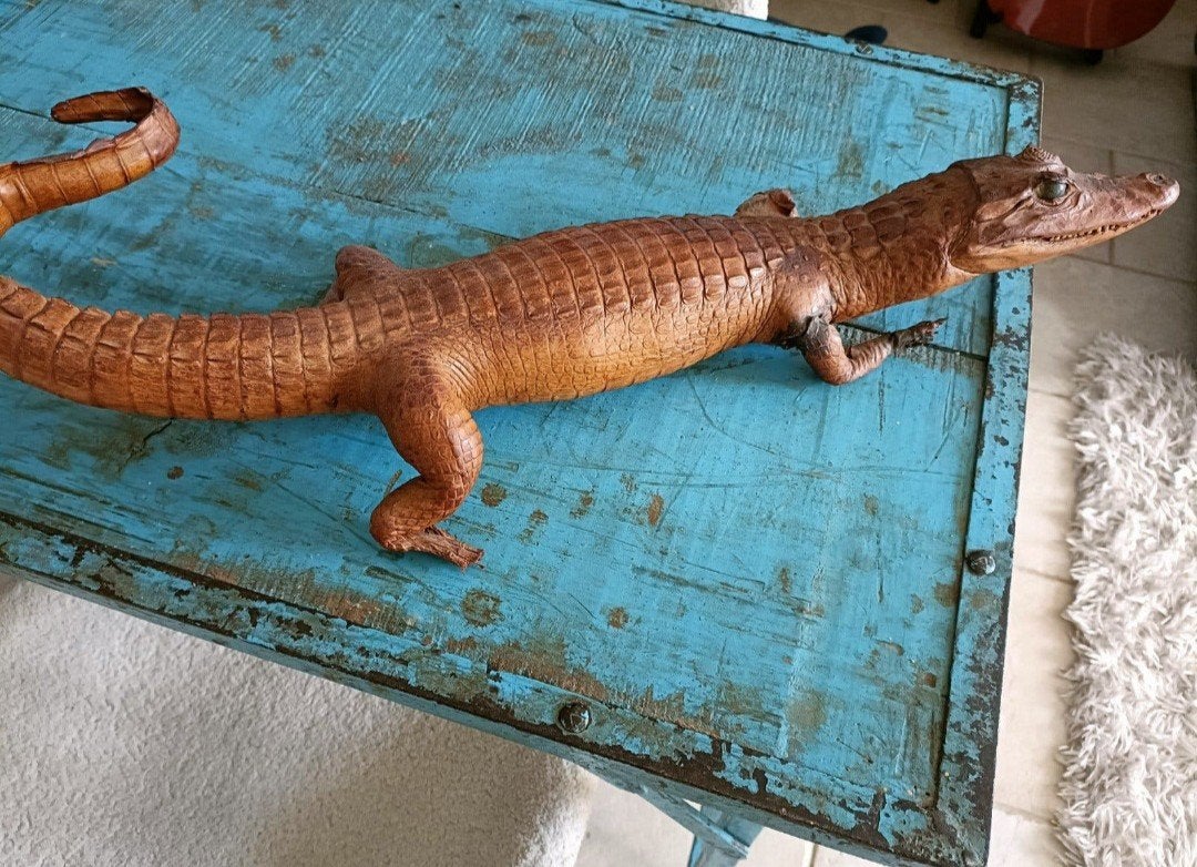 Opgezette baby krokodil / alligator - decoratie, Ophalen of Verzenden