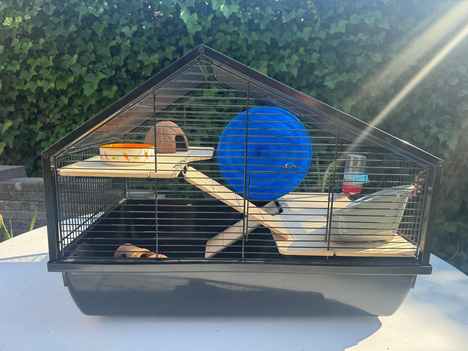 Conplete Hamsterkooi, Dieren en Toebehoren, Ophalen, Minder dan 75 cm, Kooi, Minder dan 60 cm
