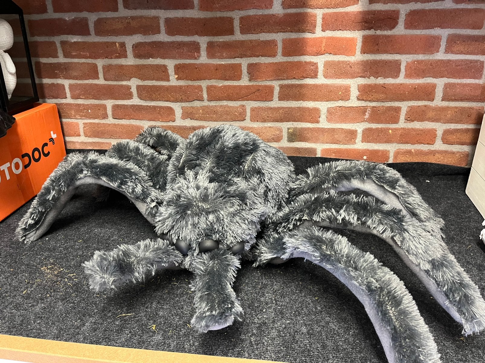 Halloween decoratie, Ophalen, Zo goed als nieuw, Versiering, Halloween of Griezel