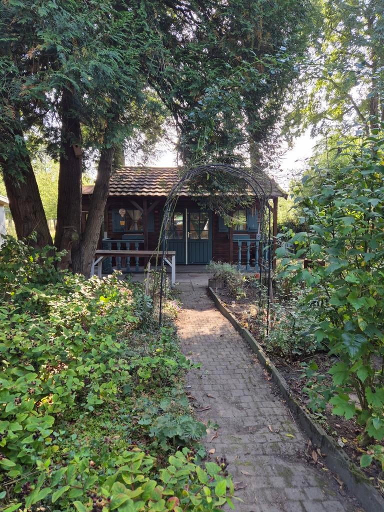 Groene volkstuin bij het Zuiderpark in Rotterdam, Tuin en Terras, Ophalen of Verzenden