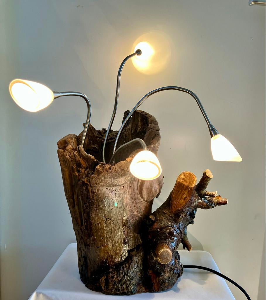Unieke appelboomstronk lamp uit t Goy - Eyecatcher!, 50 tot 75 cm, Nieuw, Ophalen of Verzenden, Landelijk