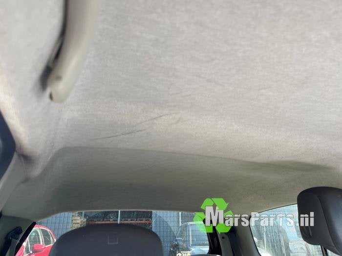 Hemelbekleding van een Renault Twingo