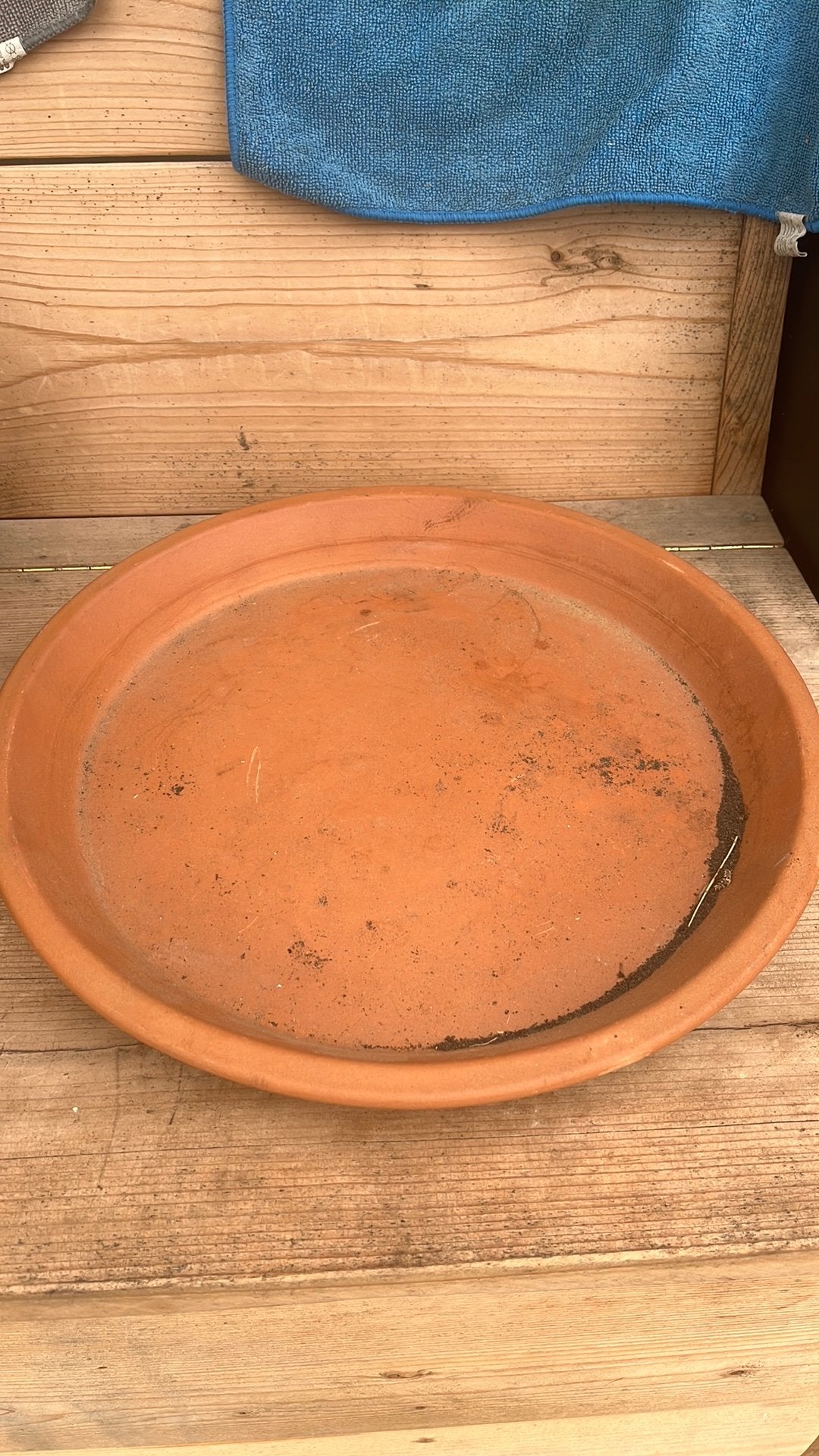 Terracotta schaal diameter 36 cm, Ophalen, Rond, Minder dan 25 cm, Minder dan 40 cm