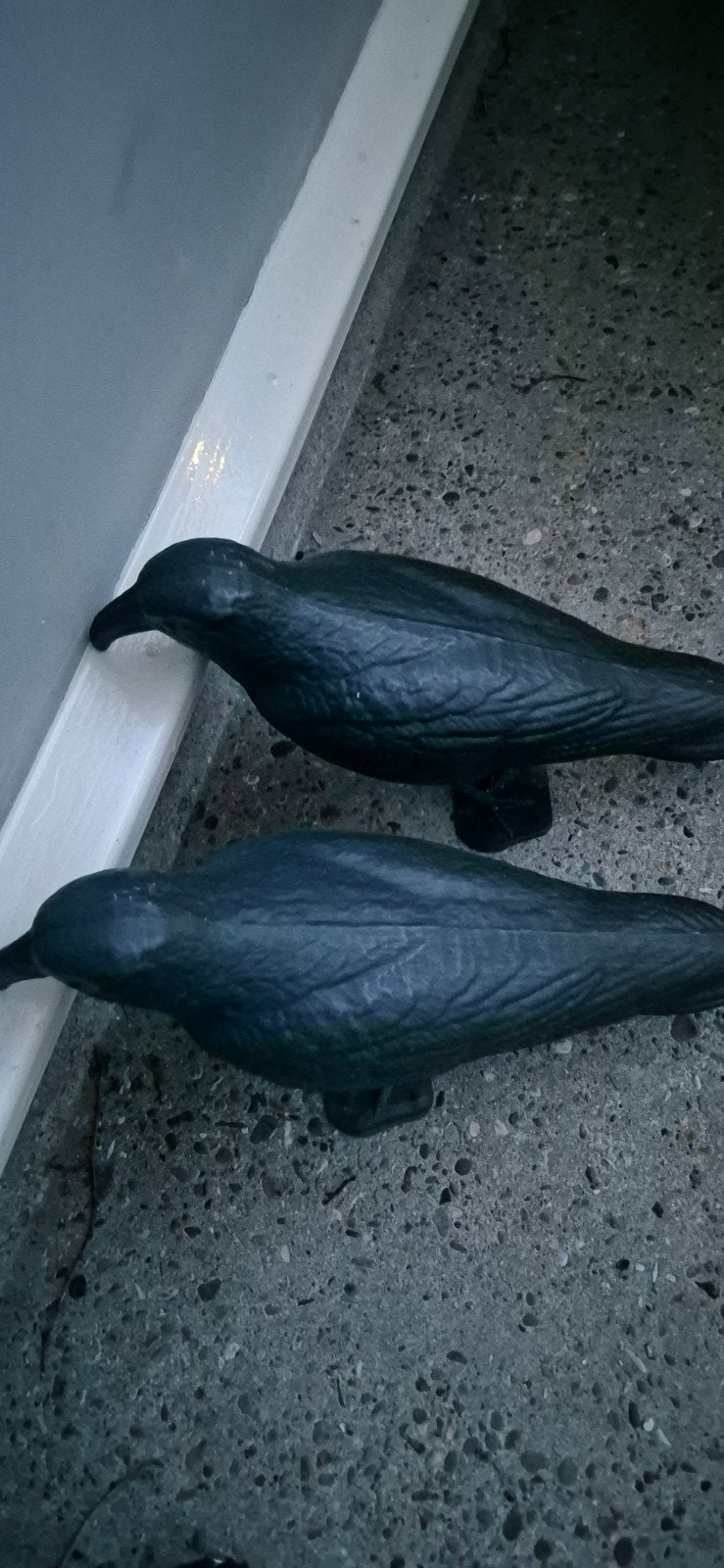 Nep vogels om duiven weg te jagen, Ophalen of Verzenden, Nieuw, Overige soorten