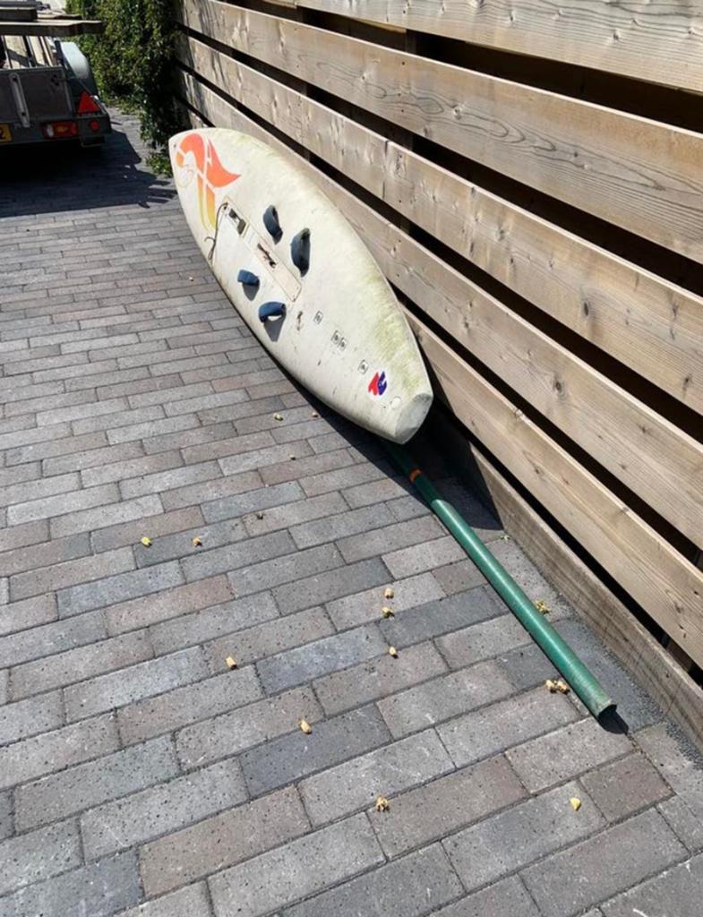Surfplank - Ideaal voor beginners of decoratie, Watersport en Boten, Windsurfen, Overige merken, Met voetbanden, 250 tot 300 cm