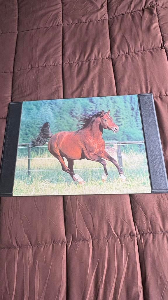 Bureau onderlegger paard, Ophalen, Gebruikt