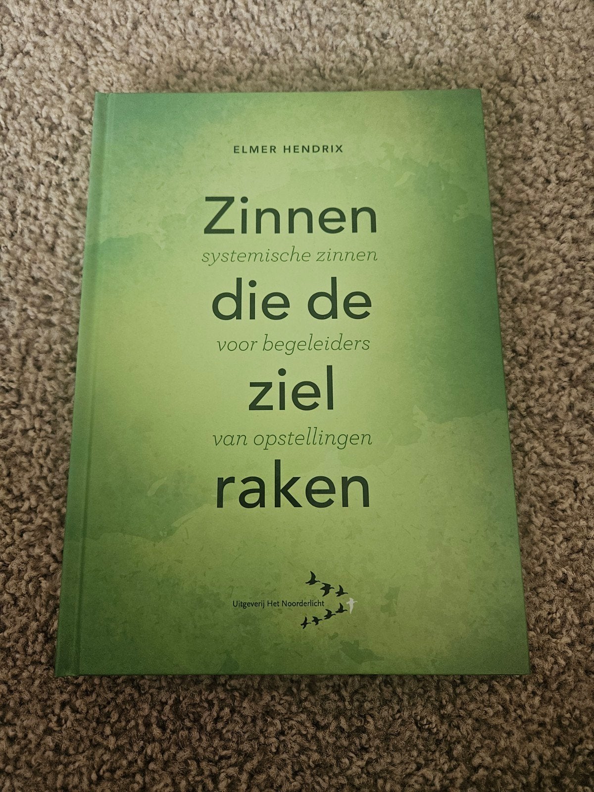 Elmer Hendrix - Zinnen die de ziel raken, Boeken, Ophalen of Verzenden, Elmer Hendrix, Ontwikkelingspsychologie, Zo goed als nieuw