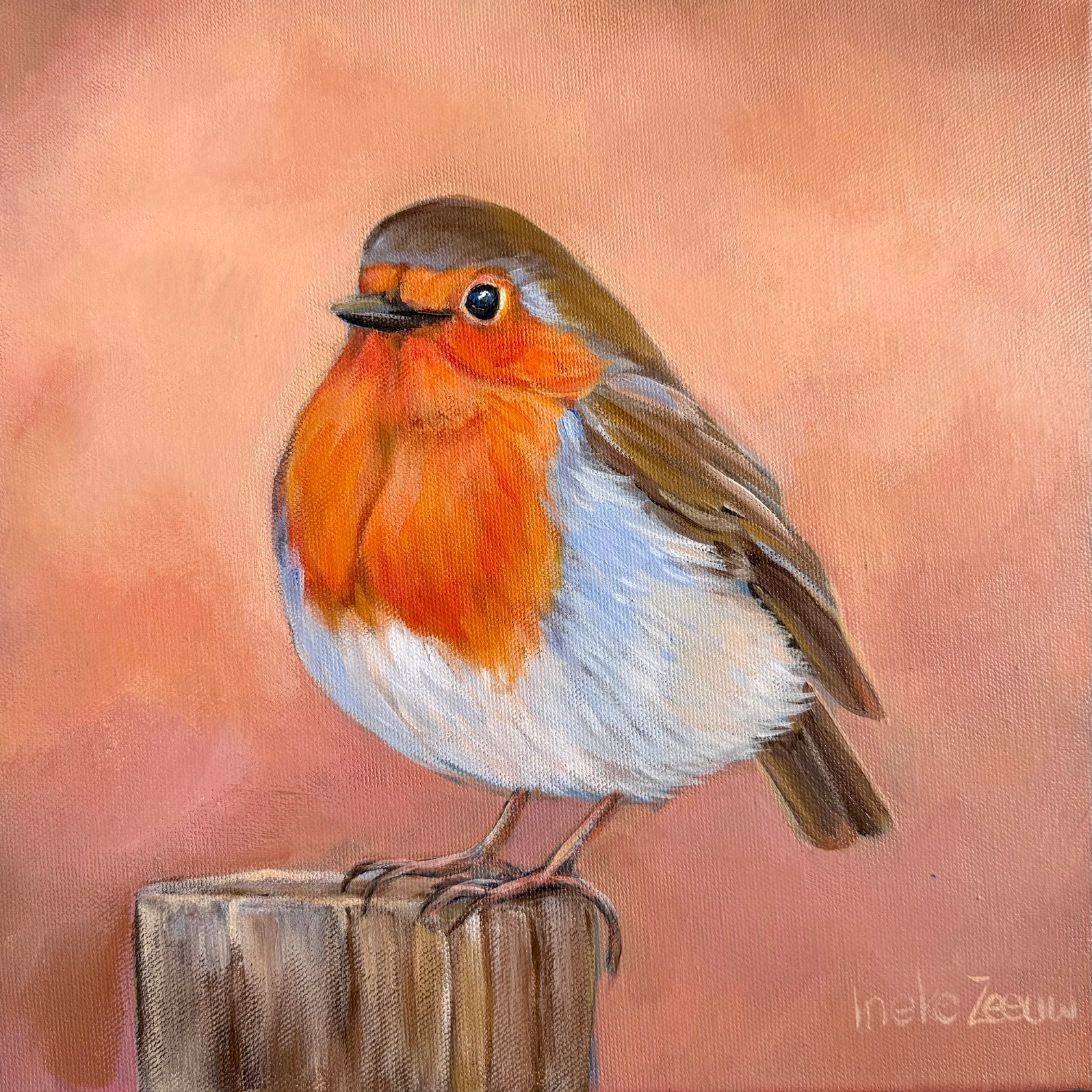 Schilderij roodborstje, Acrylverf, Gesigneerd, Ophalen of Verzenden, Dieren