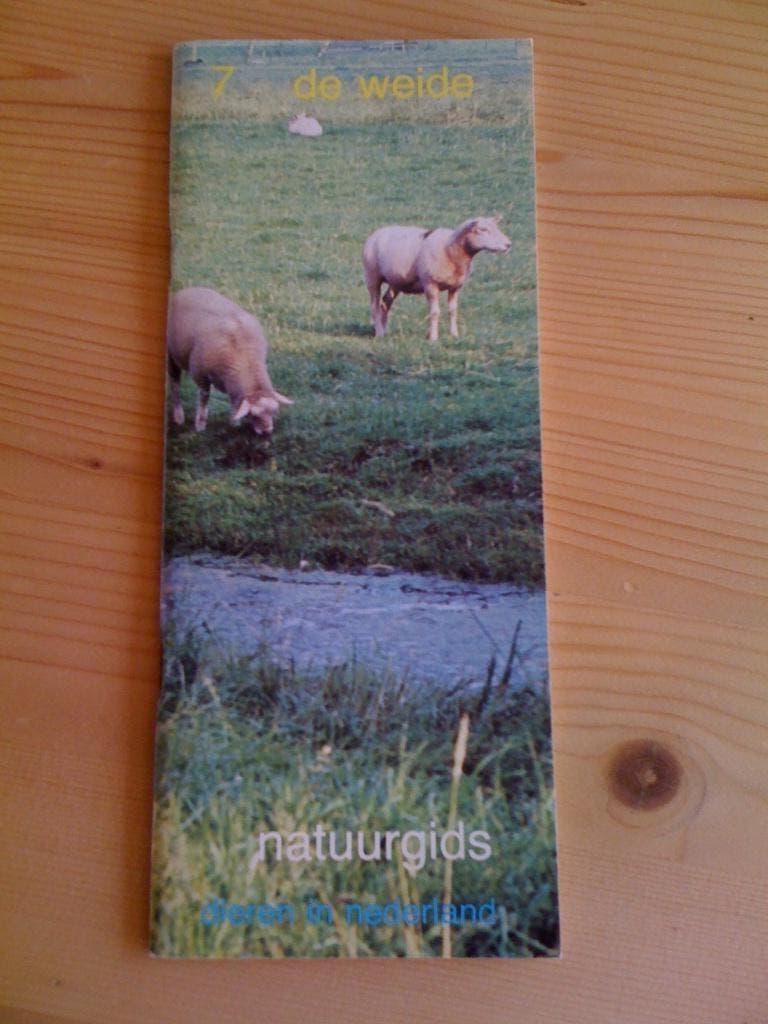 de Weide, Ophalen of Verzenden, Natuur algemeen