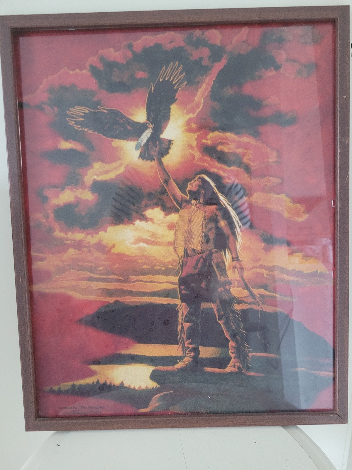 Indiaan met adelaar in houten lijst, Huis en Inrichting, Ophalen of Verzenden, Minder dan 50 cm, Schilderij