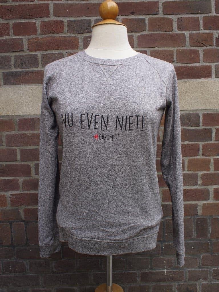 Nu even niet! trui van Darum!, Kleding | Dames, Ophalen of Verzenden, Zo goed als nieuw, Maat 34 (XS) of kleiner, Grijs