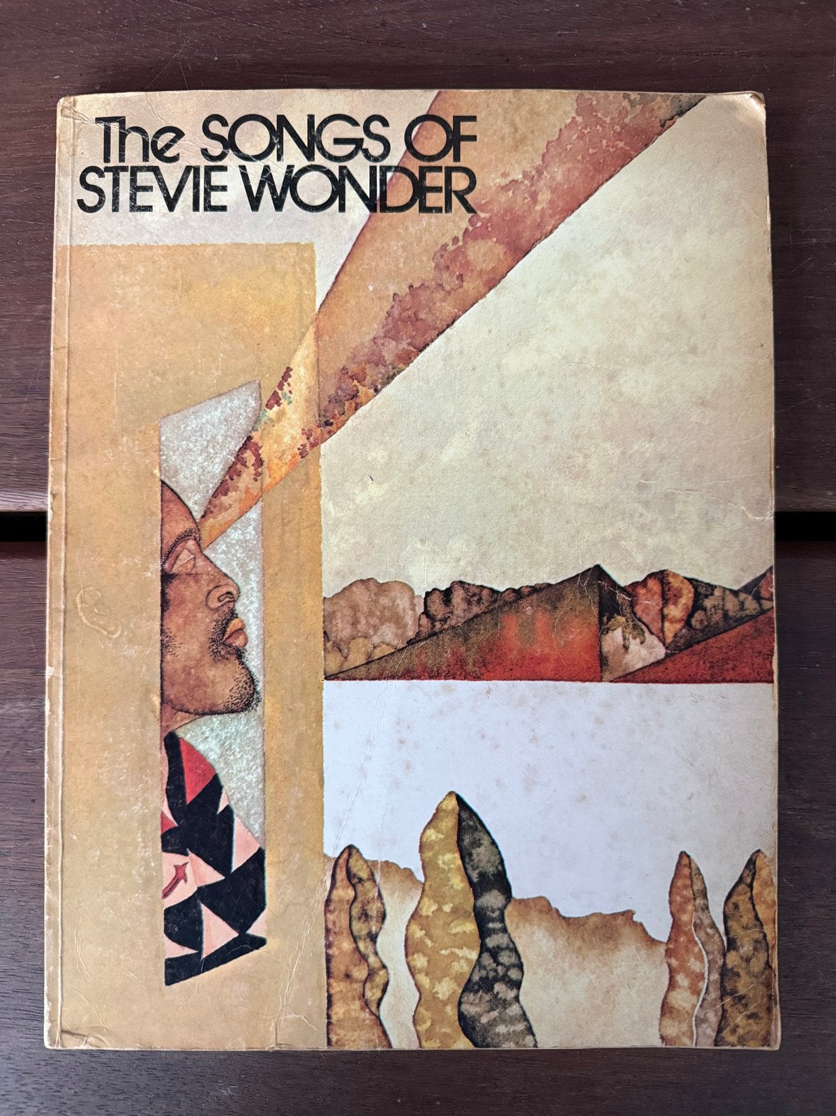 The Songs of Stevie Wonder - Muziekboek, Boeken, Muziek, Gelezen, Artiest, Ophalen of Verzenden