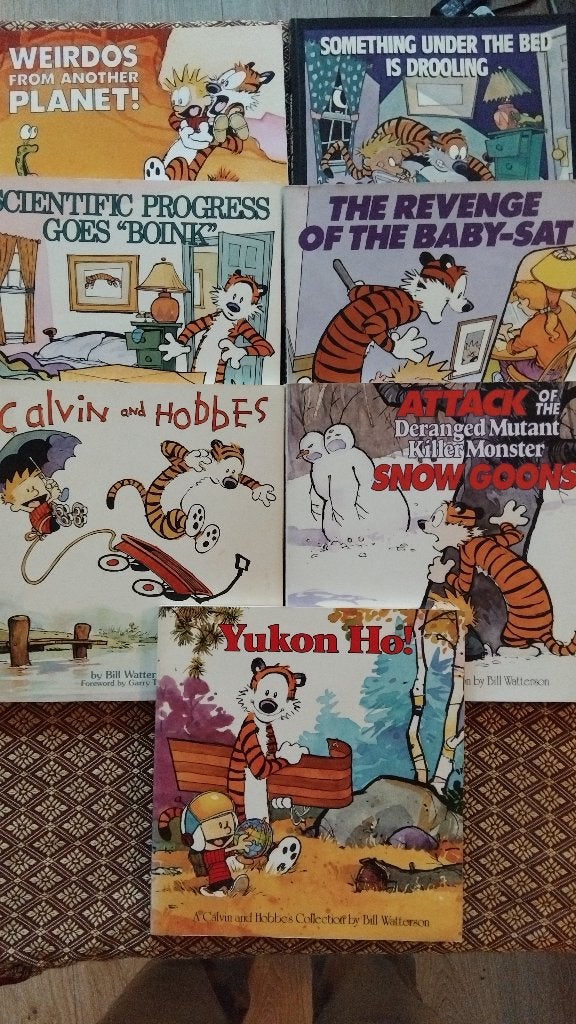 Calvin and Hobbes, Amerika, Ophalen of Verzenden, Zo goed als nieuw, Meerdere comics