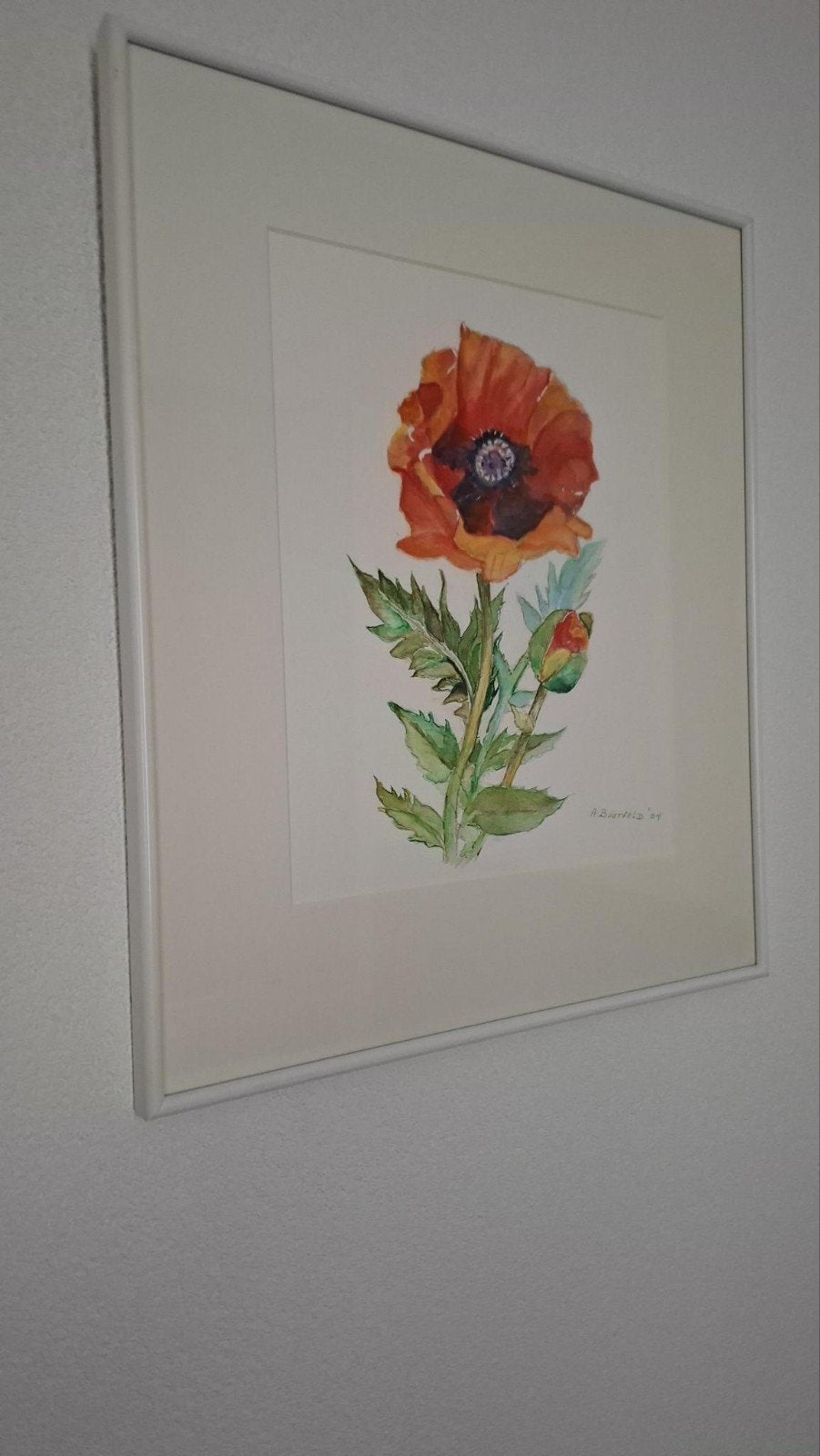 Set van 2 Aquarellen: Klaproos en Blauwe Bloem, Ophalen, Aquarel