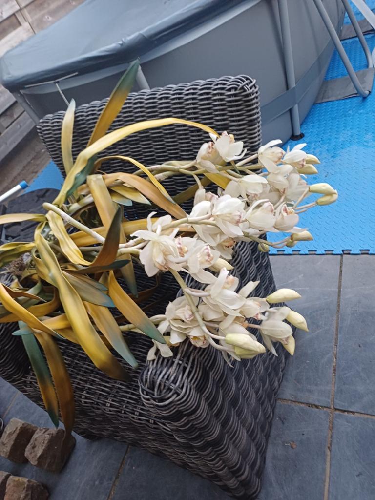 Kunstbloemen 7stuks net echt  kan je alle kanten buigen, Tuin en Terras, Planten | Tuinplanten, Ophalen of Verzenden, Overige soorten