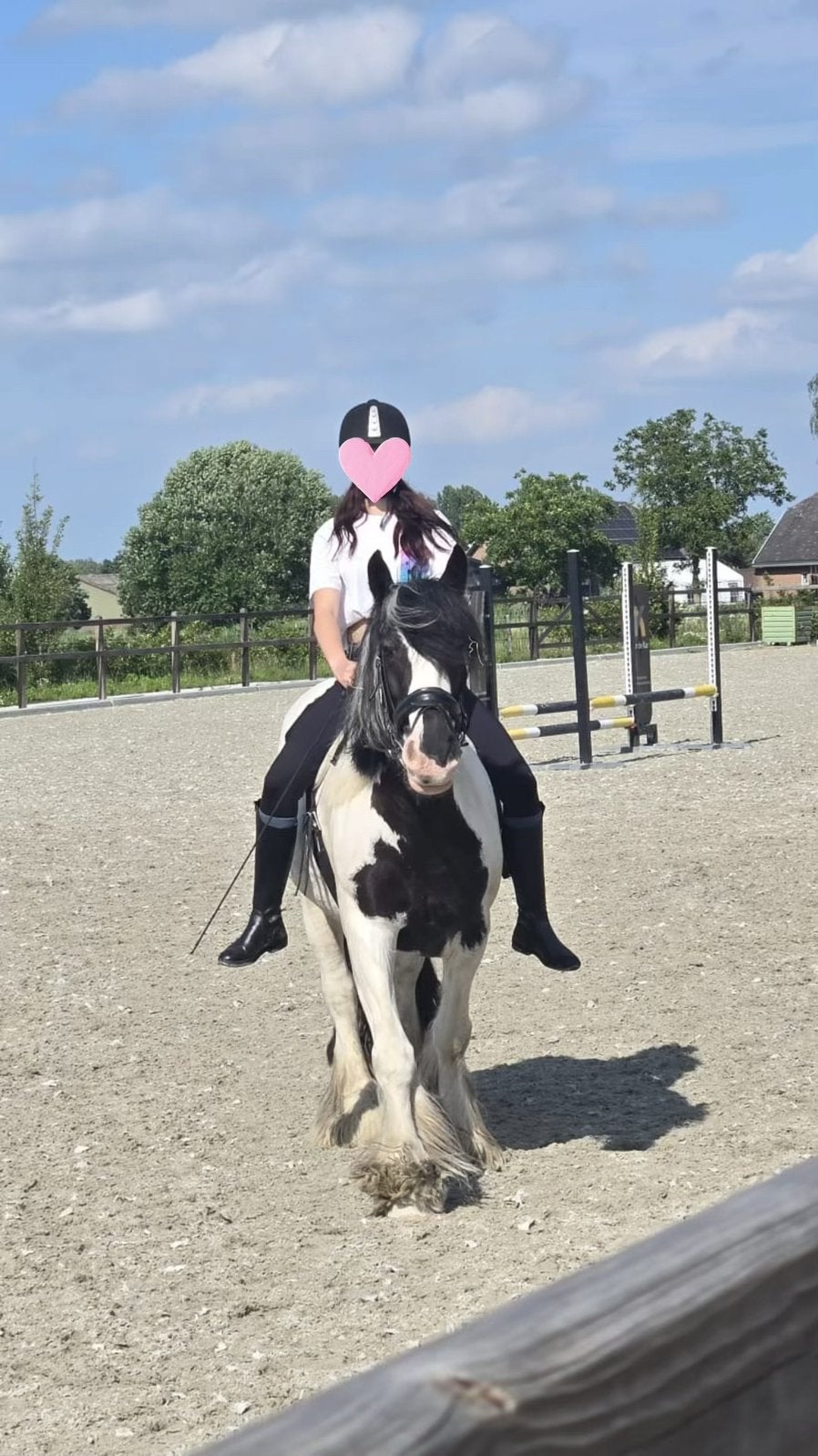Bijrijd pony/paard gezocht roosendaal/oudenbosch/zegge, Dieren en Toebehoren, Ophalen, Zo goed als nieuw