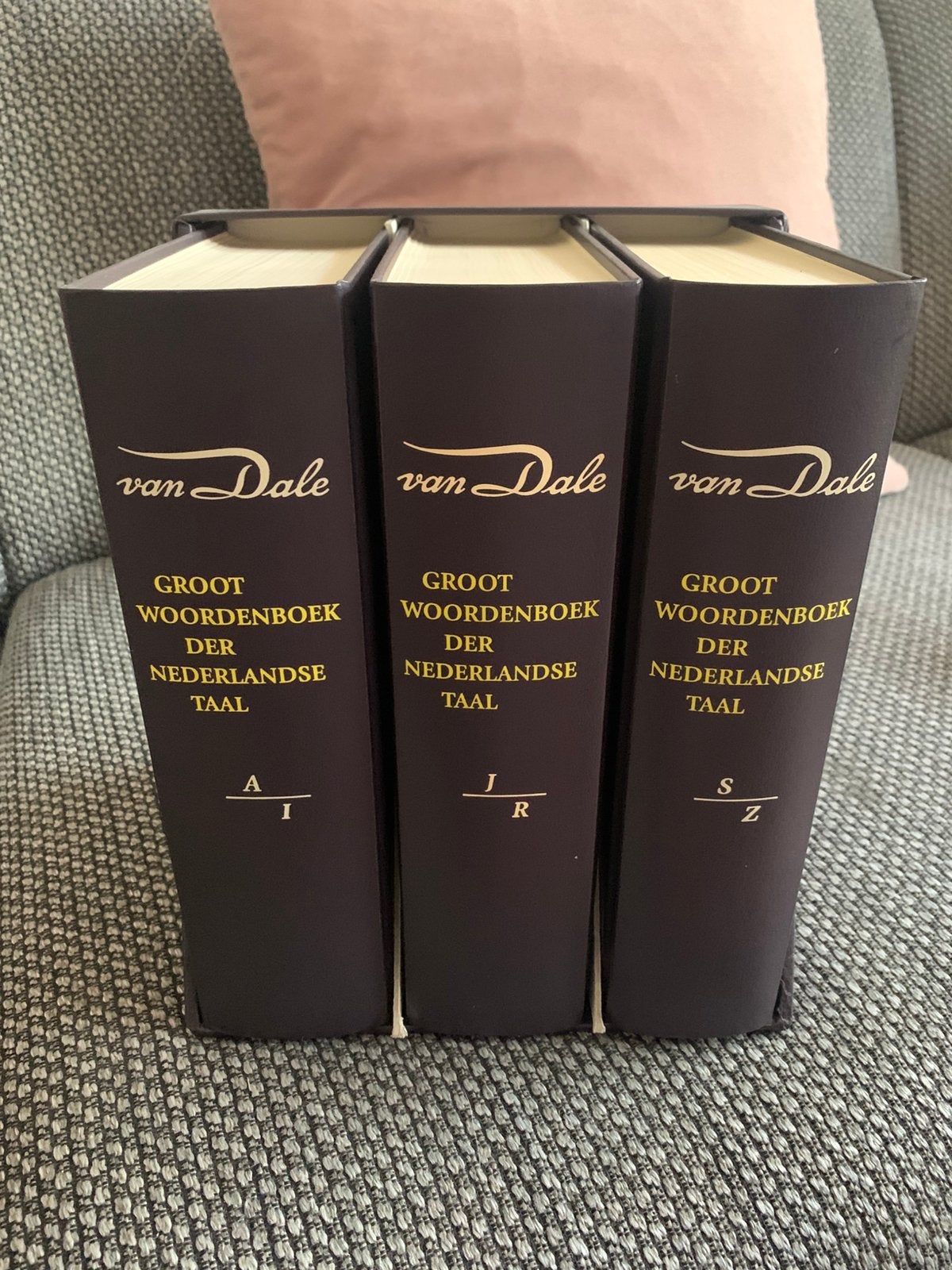 Dikke van Dale 13e editie 1999, Ophalen of Verzenden, Zo goed als nieuw, Van Dale, Nederlands