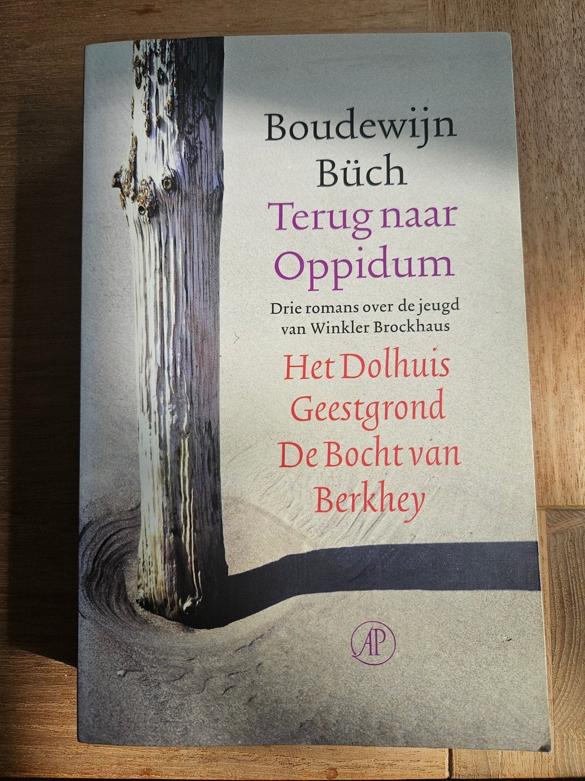 B. Buch - Terug naar Oppidum, Boeken, Ophalen of Verzenden, Zo goed als nieuw, B. Buch